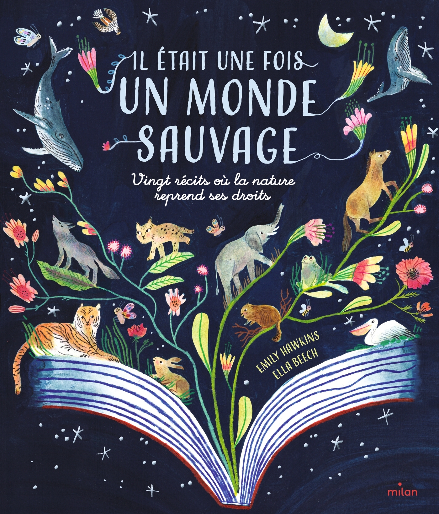 Il était une fois un monde sauvage