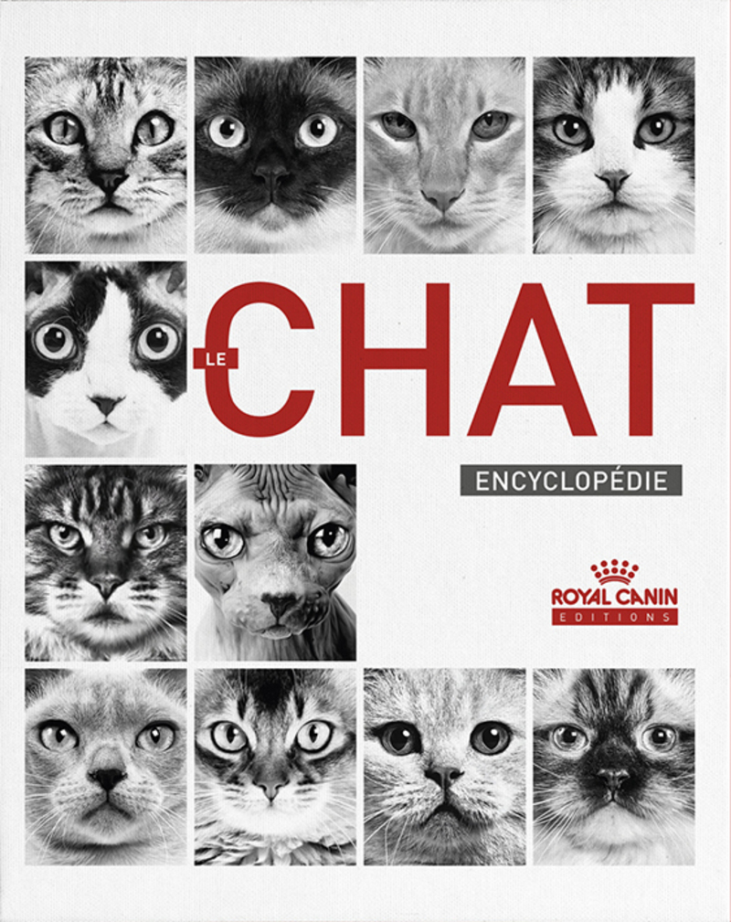 Le chat encyclopédie