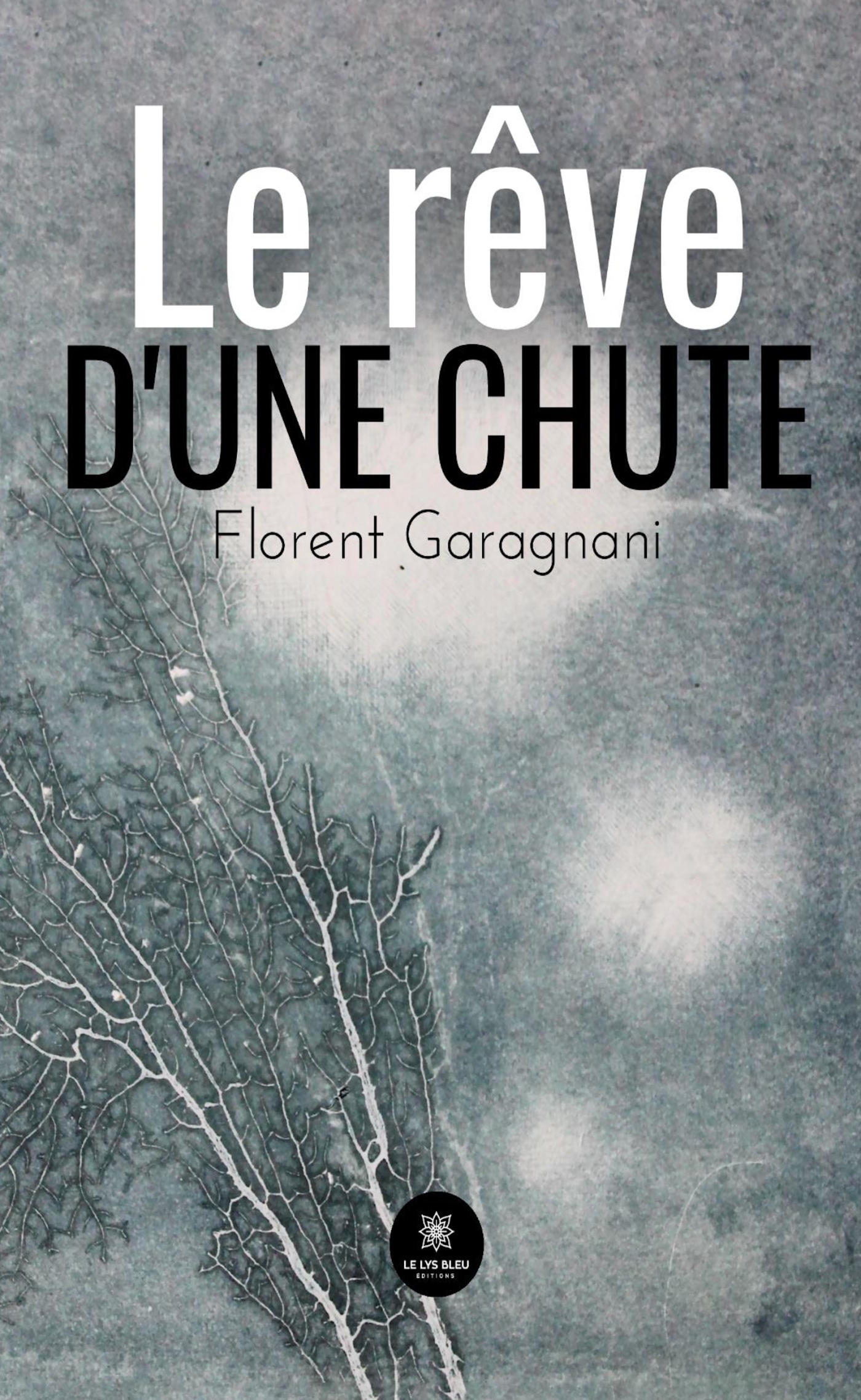 Le rêve d'une chute