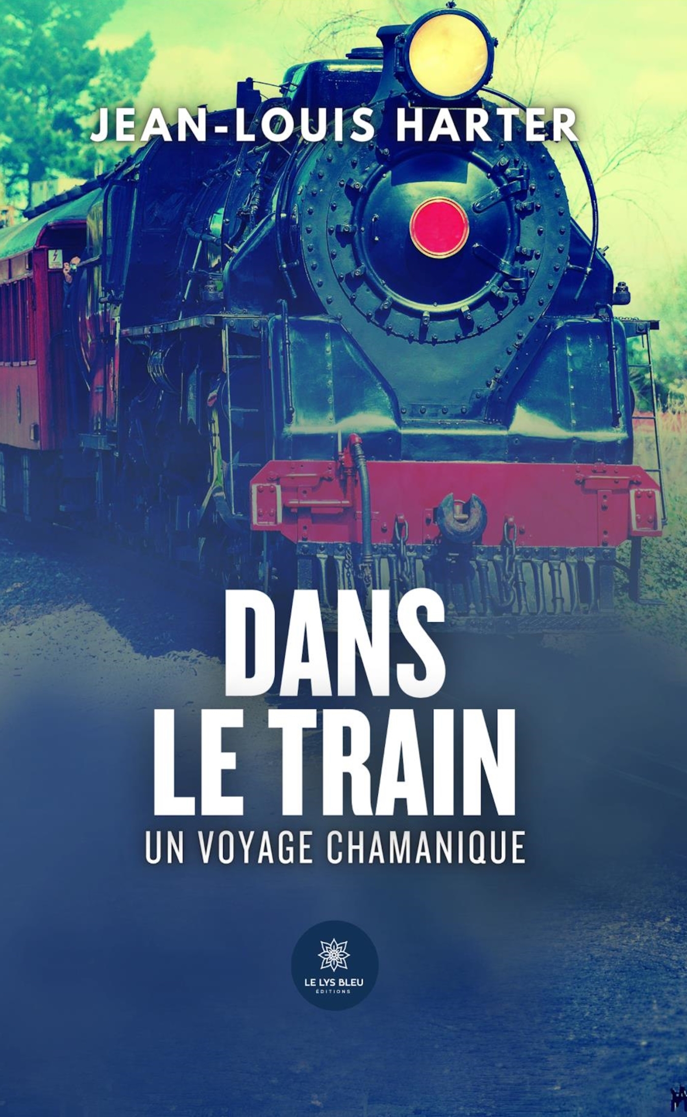 Dans le train