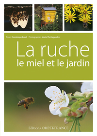 La ruche, le miel et le jardin