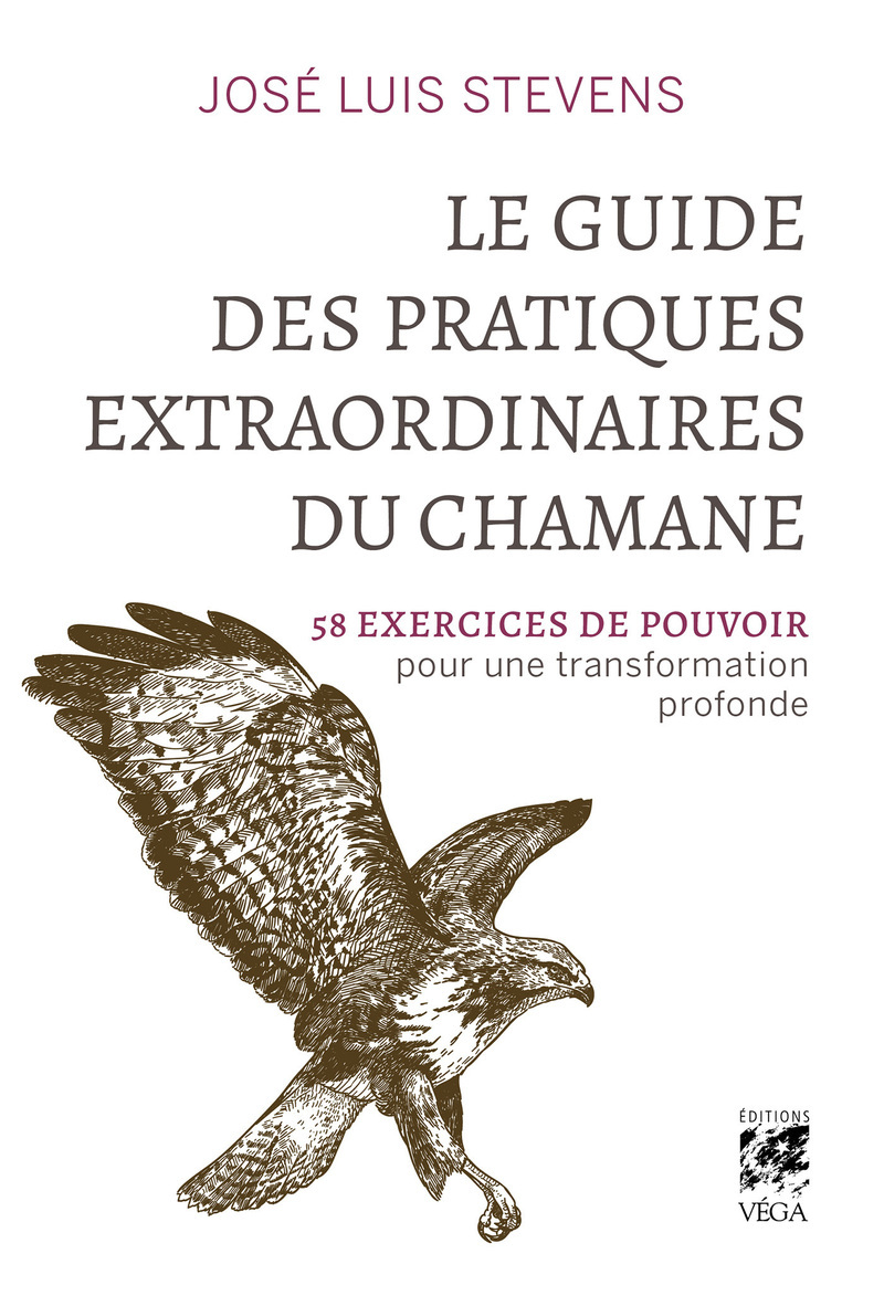 Le Guide des pratiques extraordinaires du chamane - 58 exercices de pouvoir pour une transformation profonde