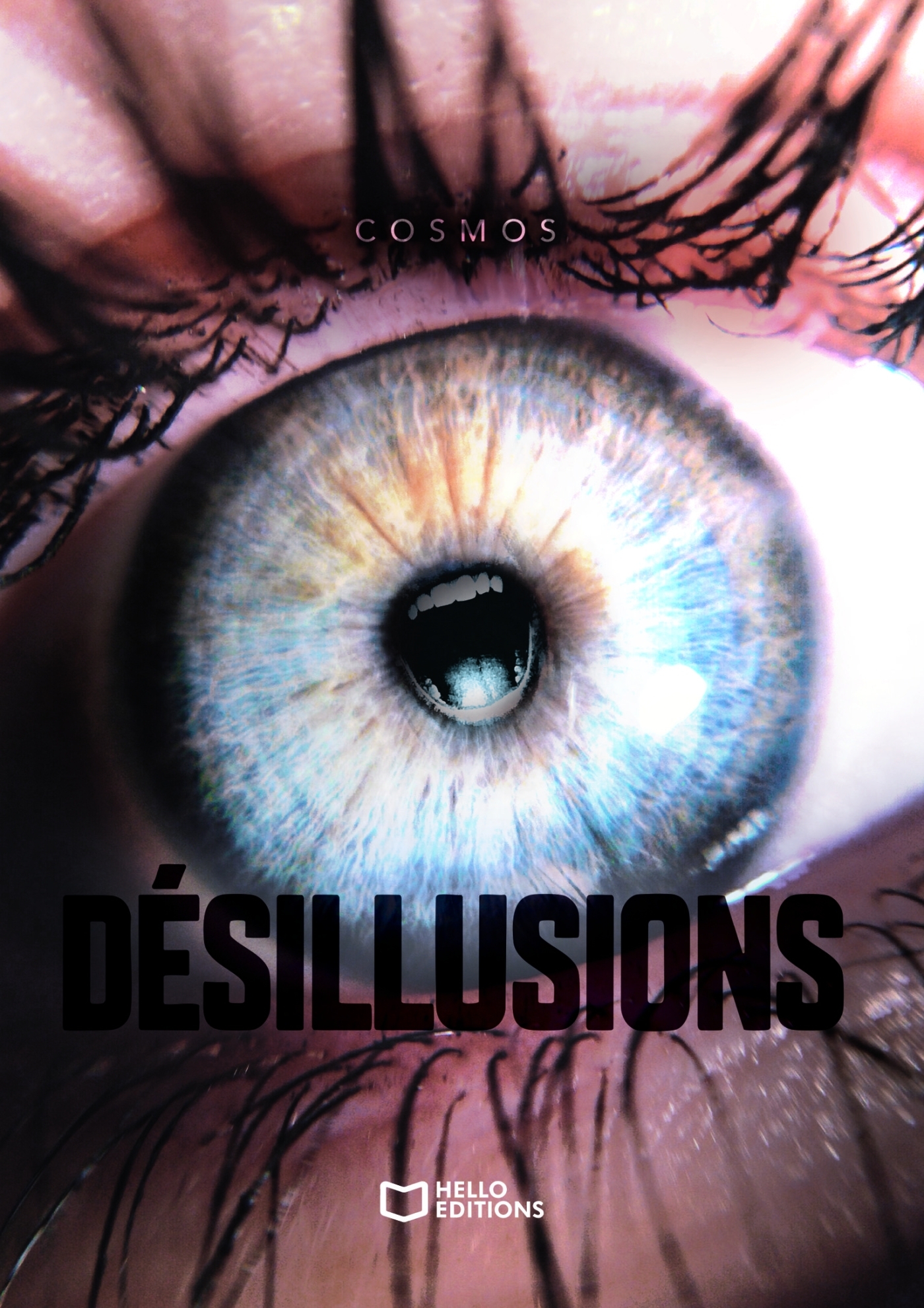 Désillusions