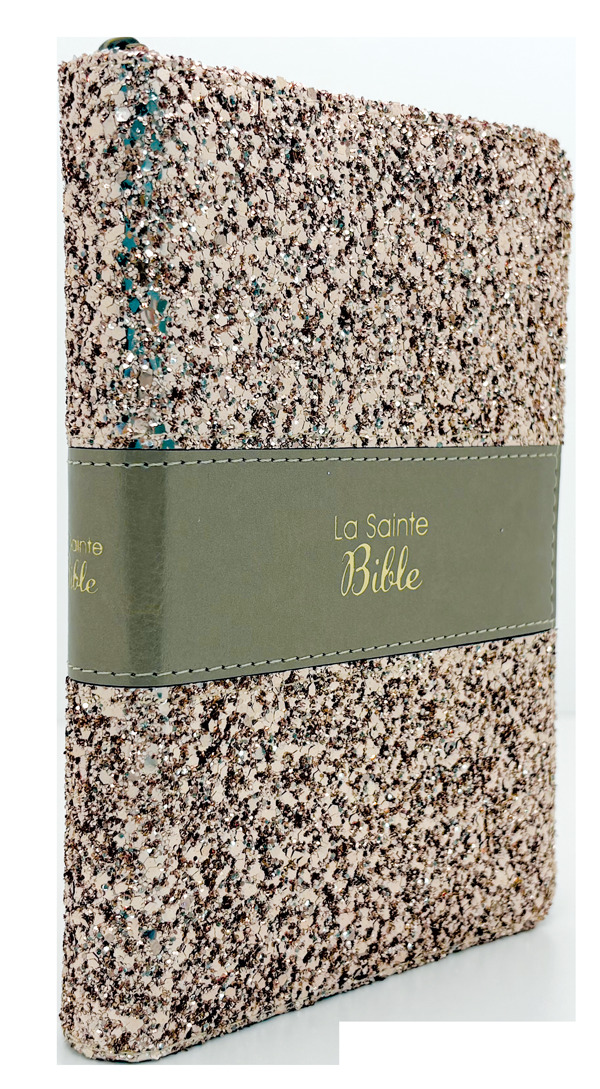 La Sainte Bible (bronze)