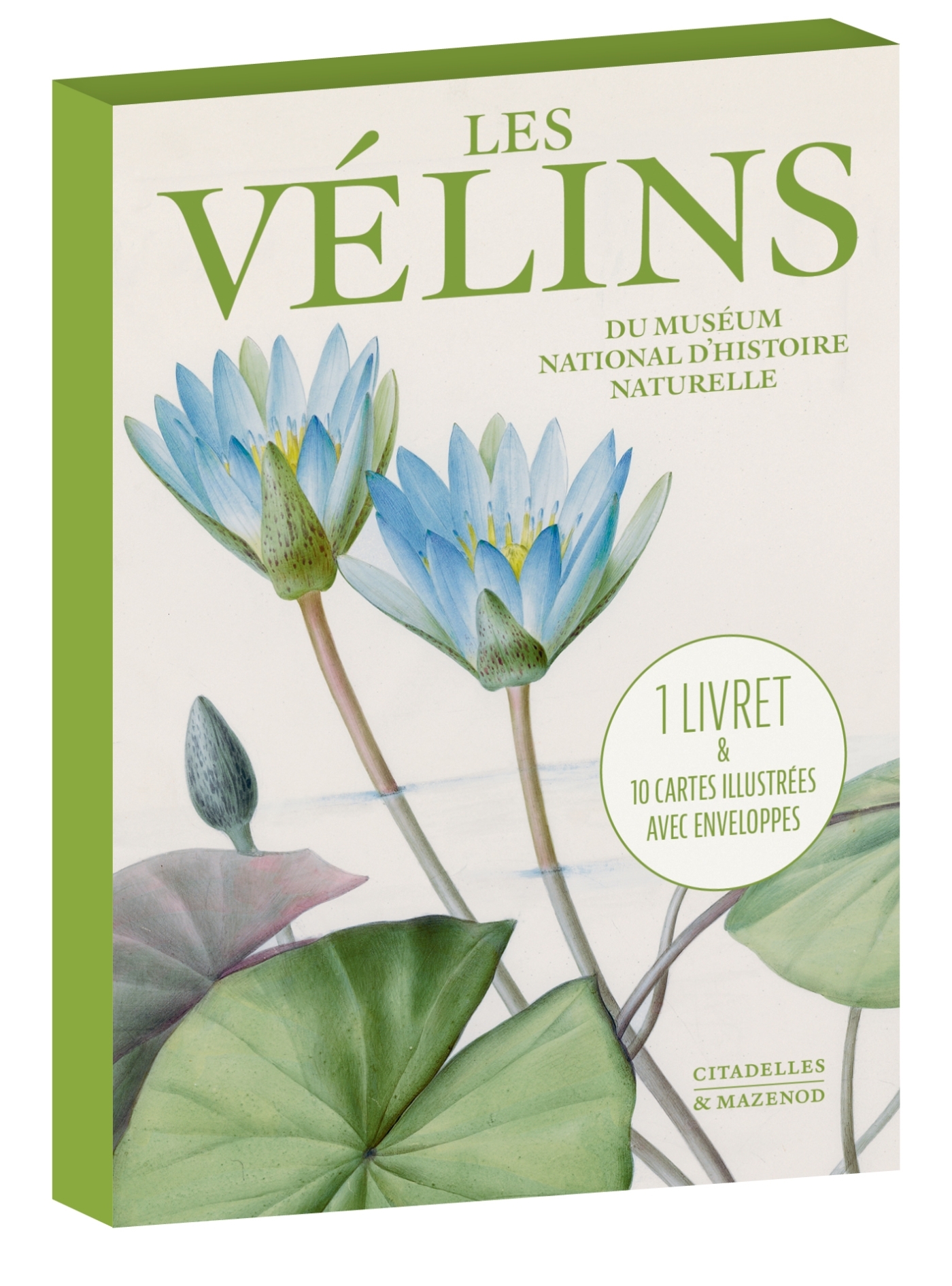 CARTES VÉLINS