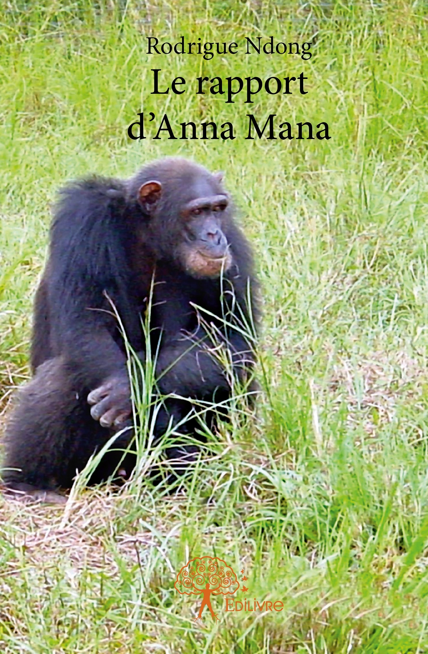 Le rapport d'Anna Mana