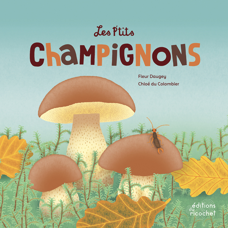 Les P'tits champignons - Le règle des fungi