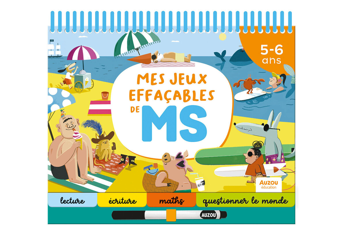 Mes jeux effaçables de MS