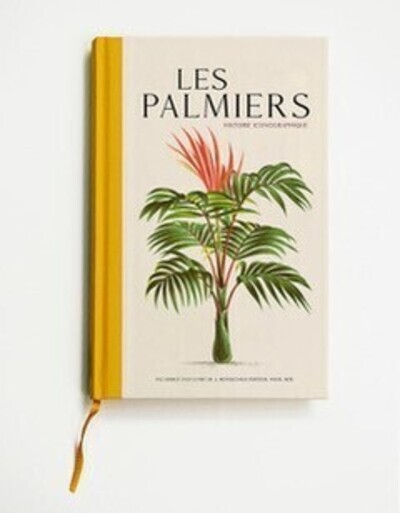 Les palmiers - Histoires iconographiques