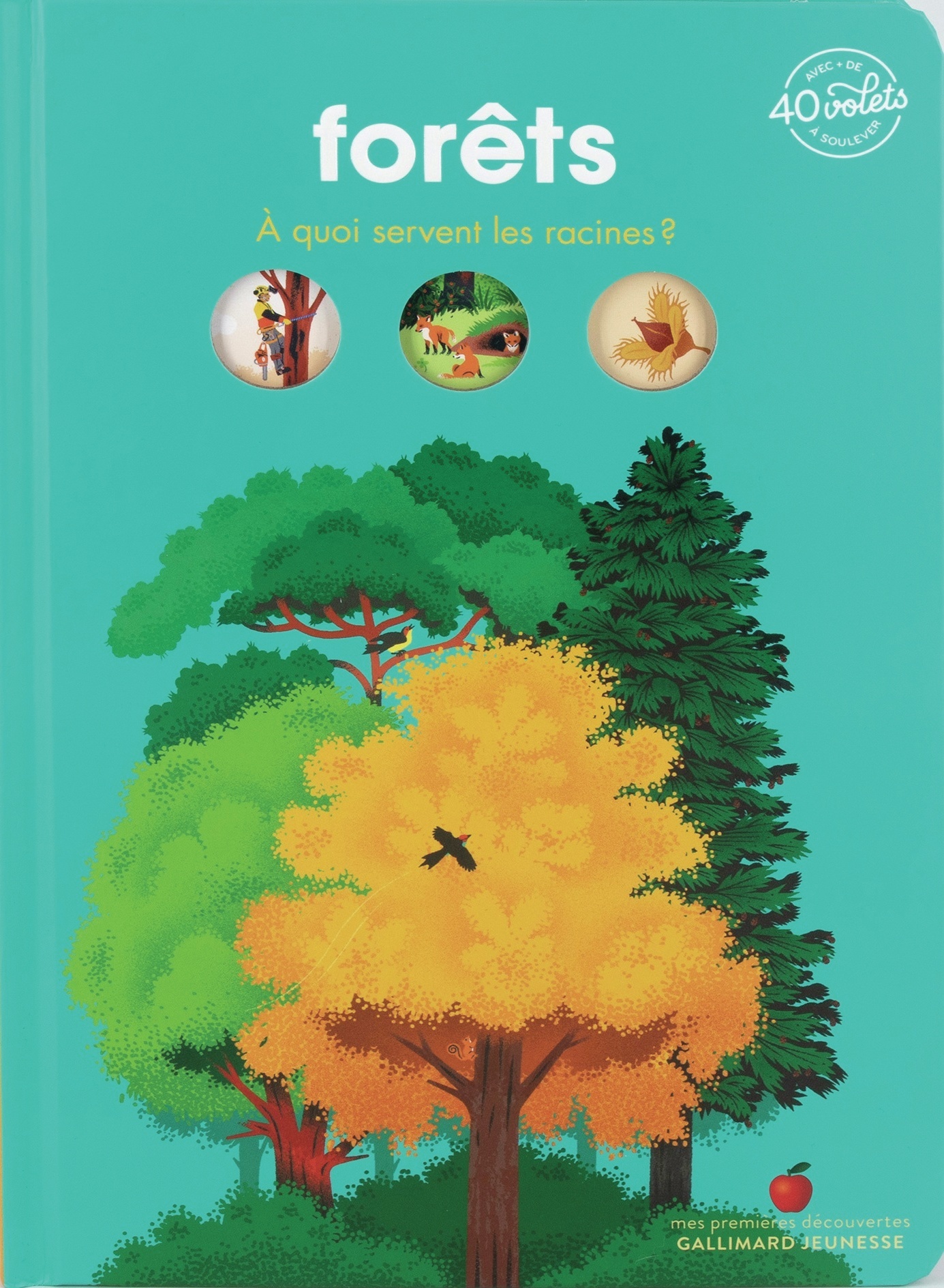 Forêts