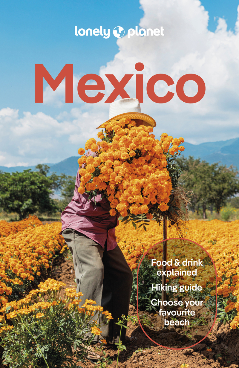 Mexico 19ed -anglais-