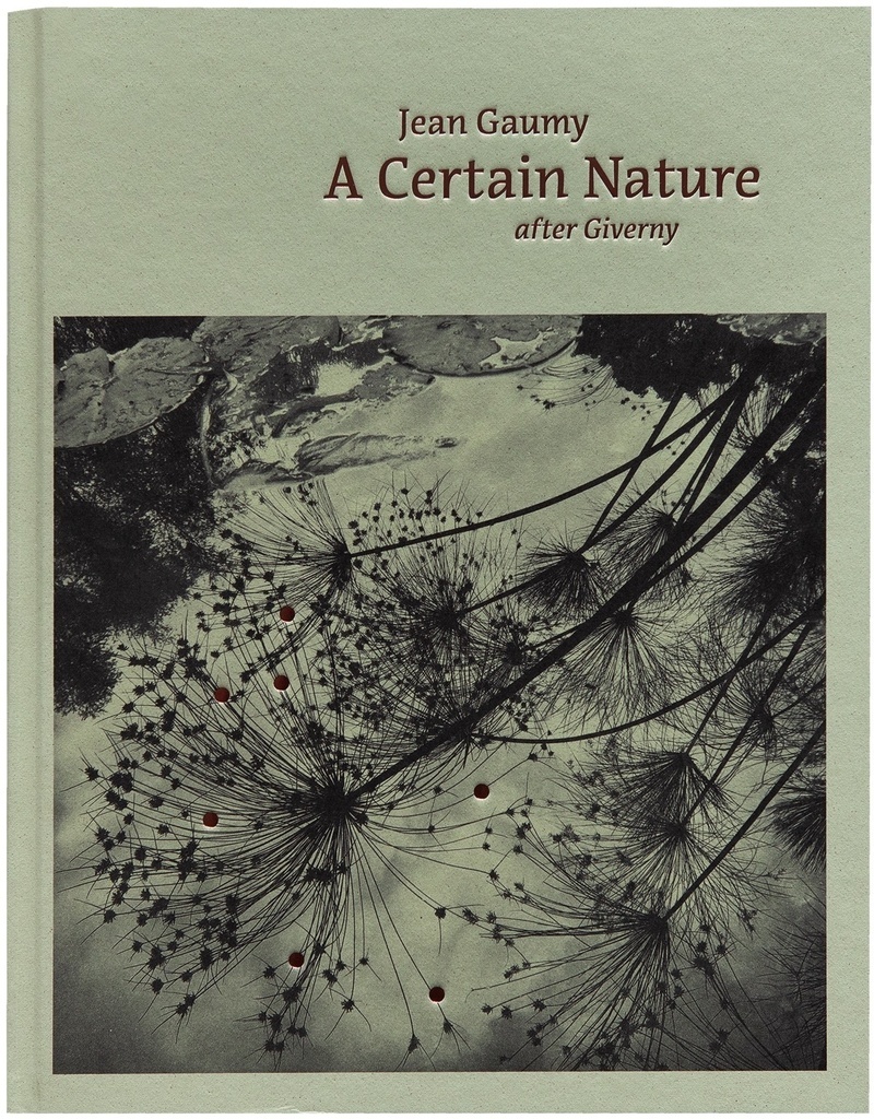 A Certain Nature After Giverny