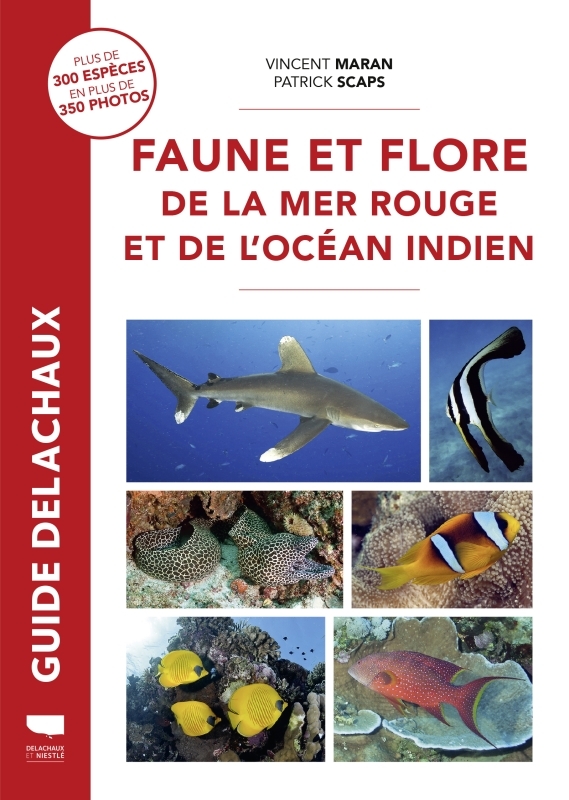 Faune et flore de la mer Rouge