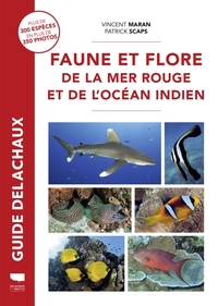 Faune et flore de la mer Rouge