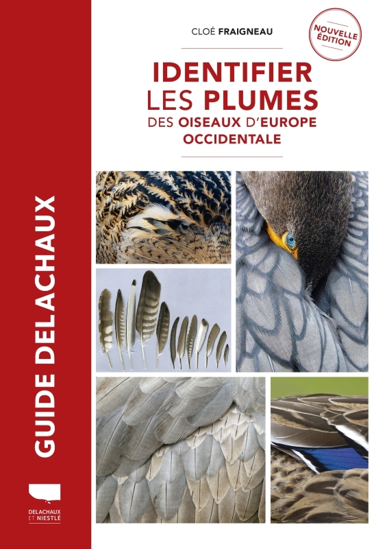 Identifier les plumes des oiseaux d’Europe occidentale