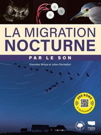 la migration nocturne par le son