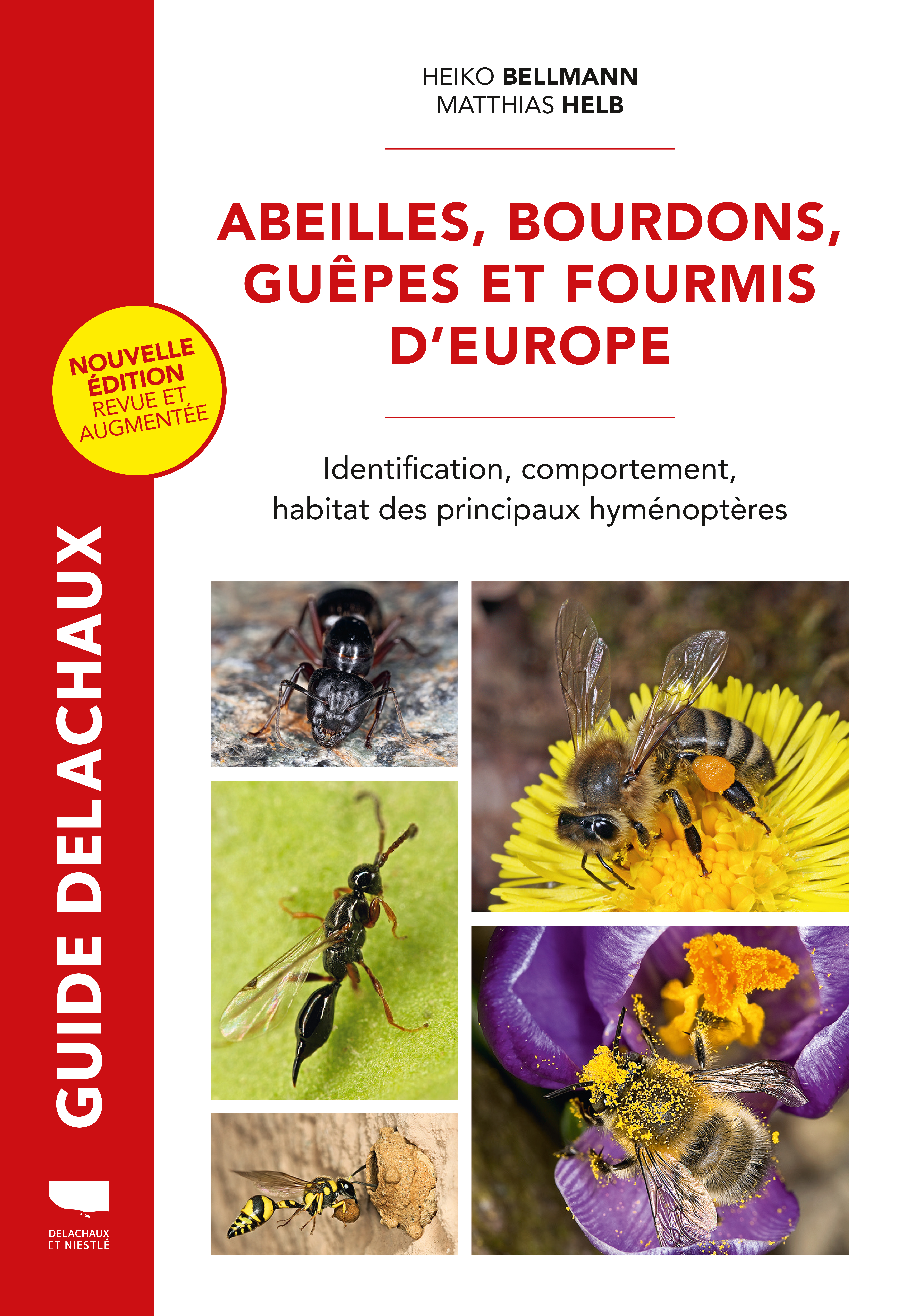 Abeilles, bourdons, guêpes et fourmis d'Europe