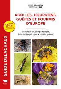 Abeilles, bourdons, guêpes et fourmis d'Europe
