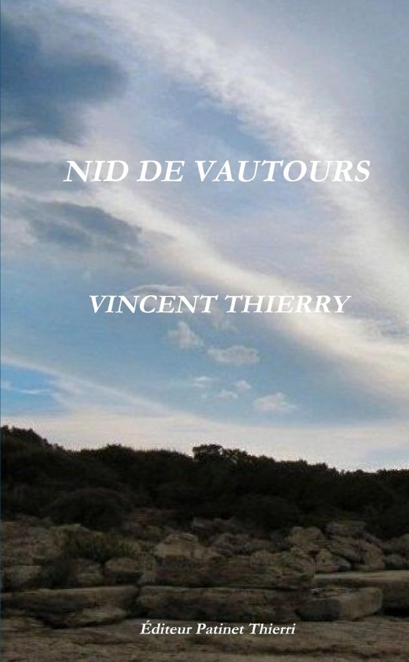 NID DE VAUTOURS