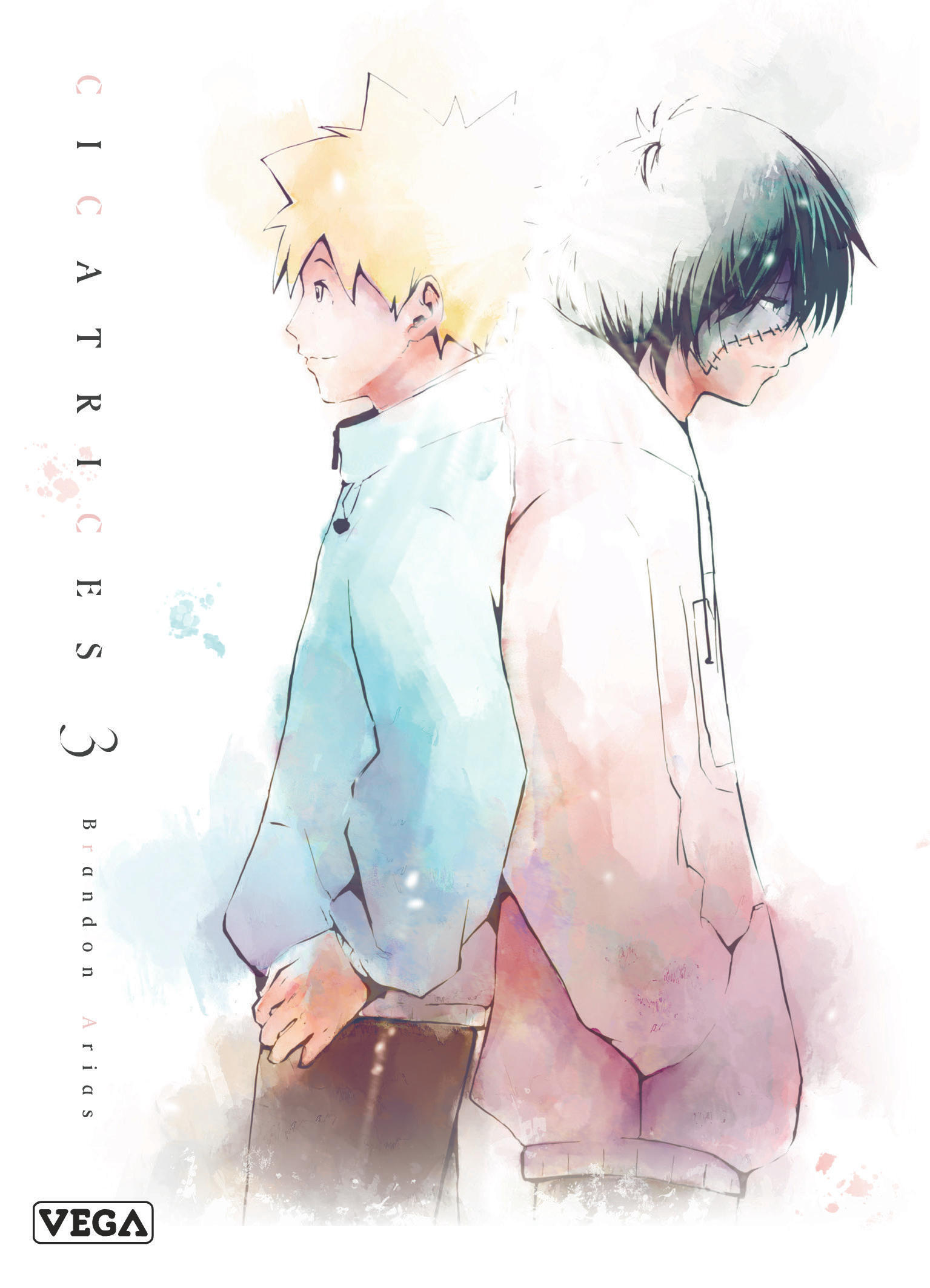 Cicatrices - Tome 3