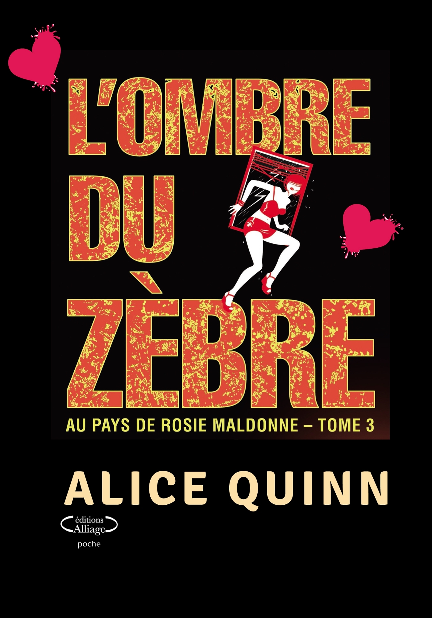 L'OMBRE DU ZÈBRE