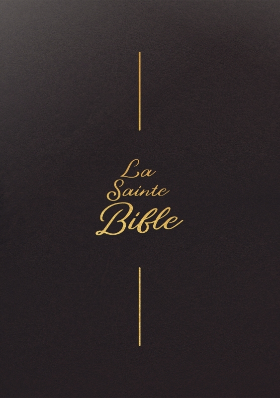 La Sainte Bible Segond 1910 - Brun, vinyle, souple, gros caractères
