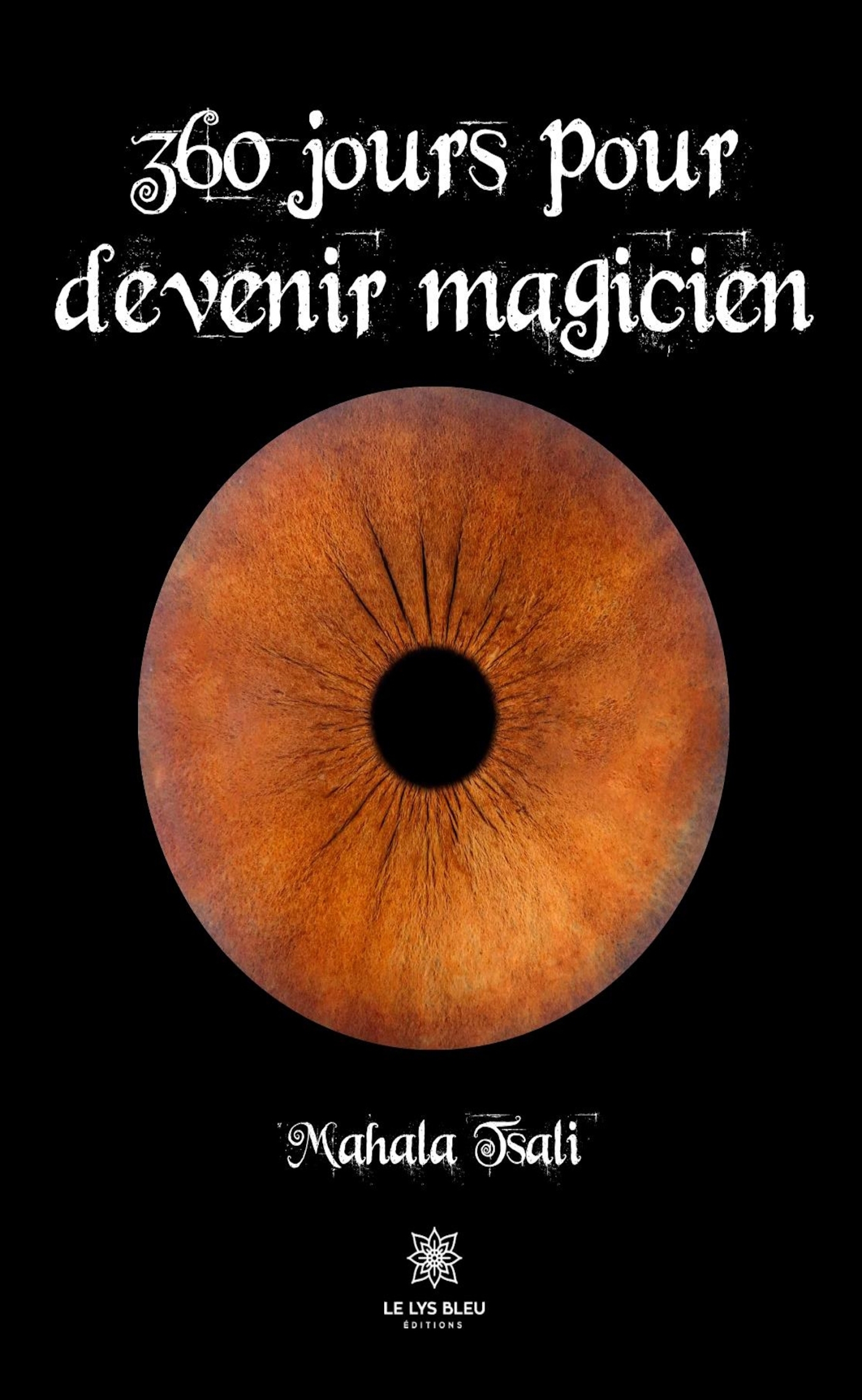 360 jours pour devenir magicien