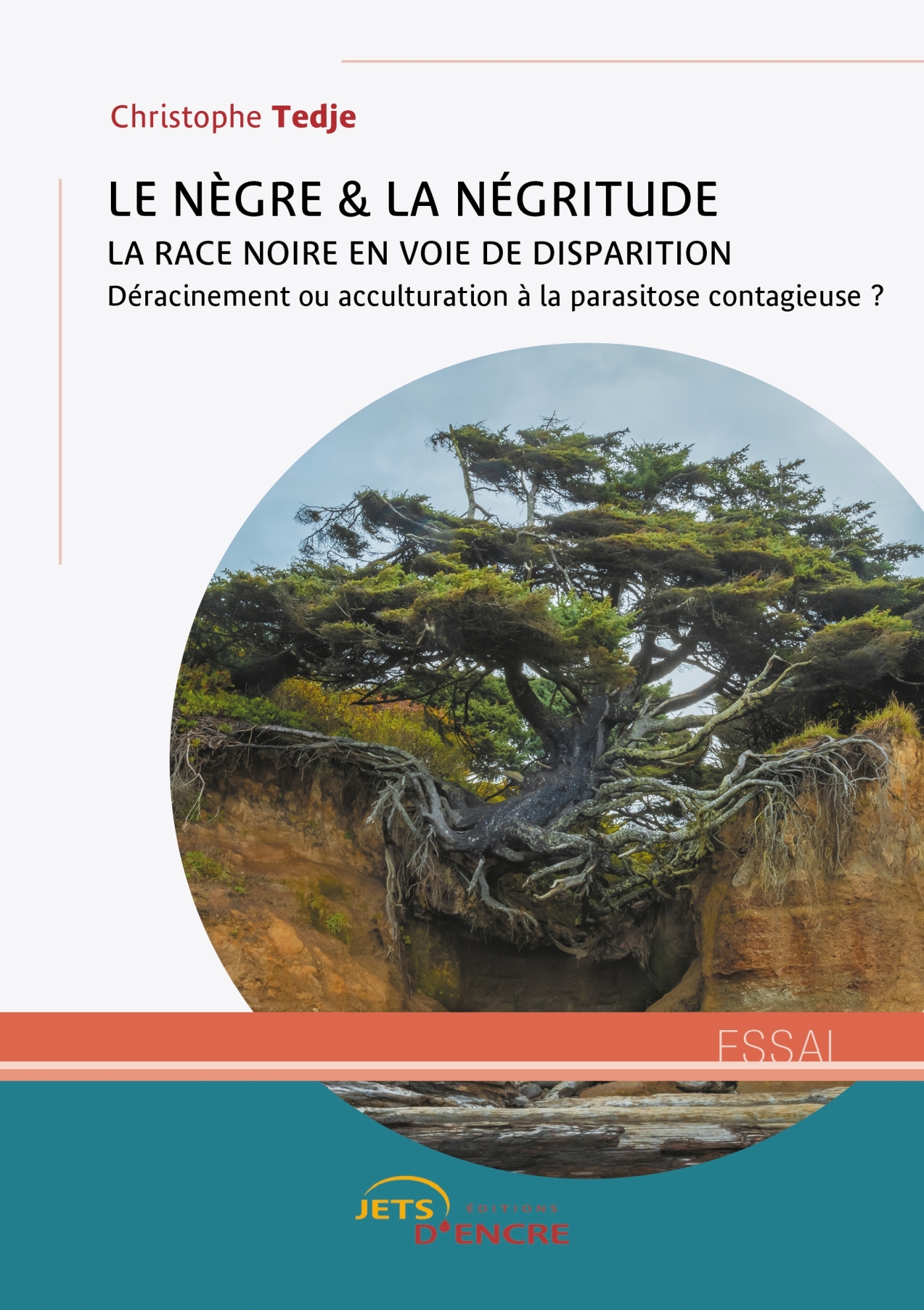 Le nègre et la négritude