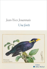 Une forêt