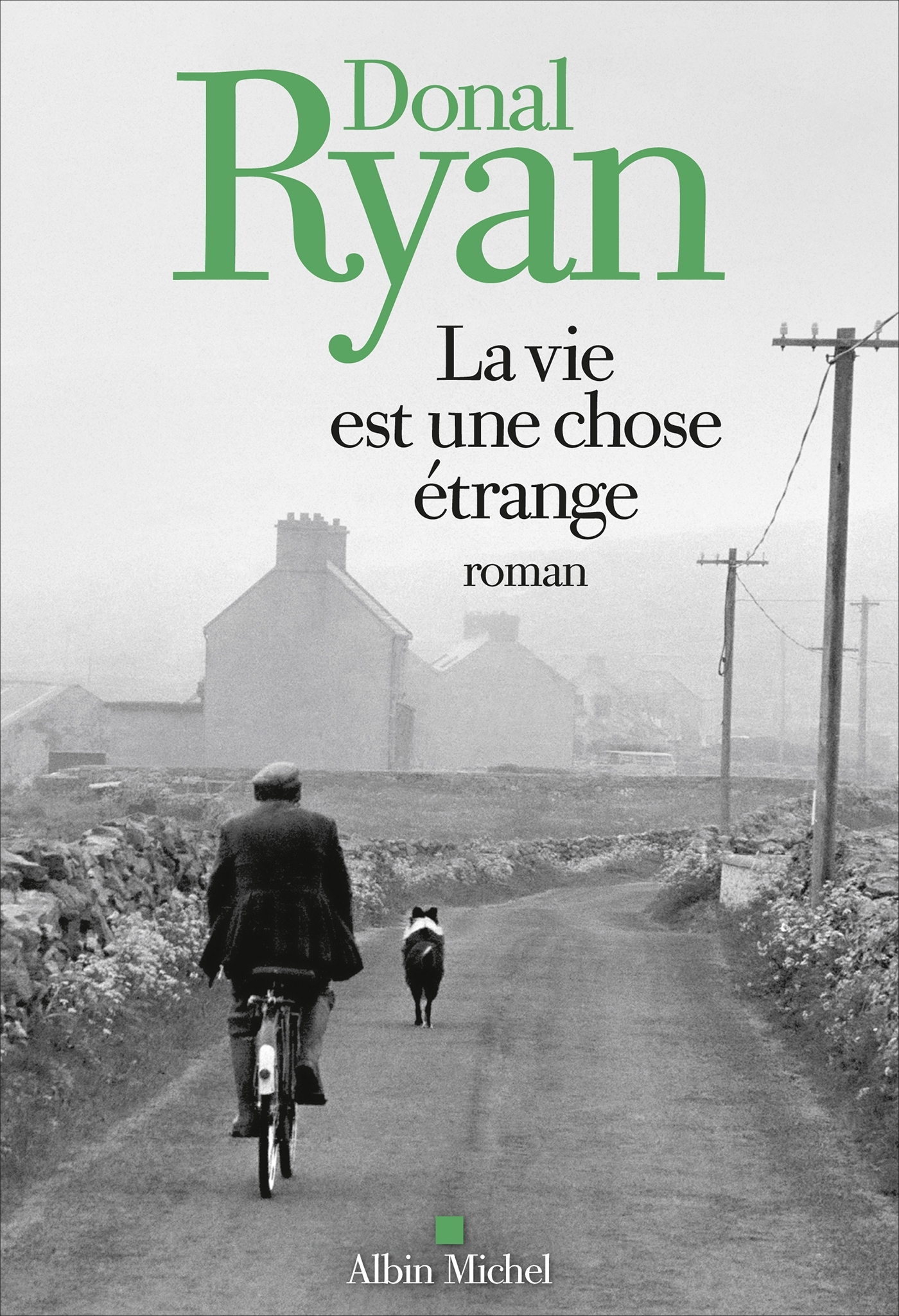La Vie est une chose étrange