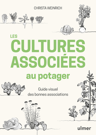 Les cultures associées au potager - Guide visuel des bonnes associations