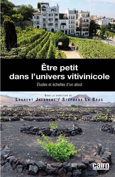 Être petit dans l'univers vitivinicole - études et échelles d'un atout