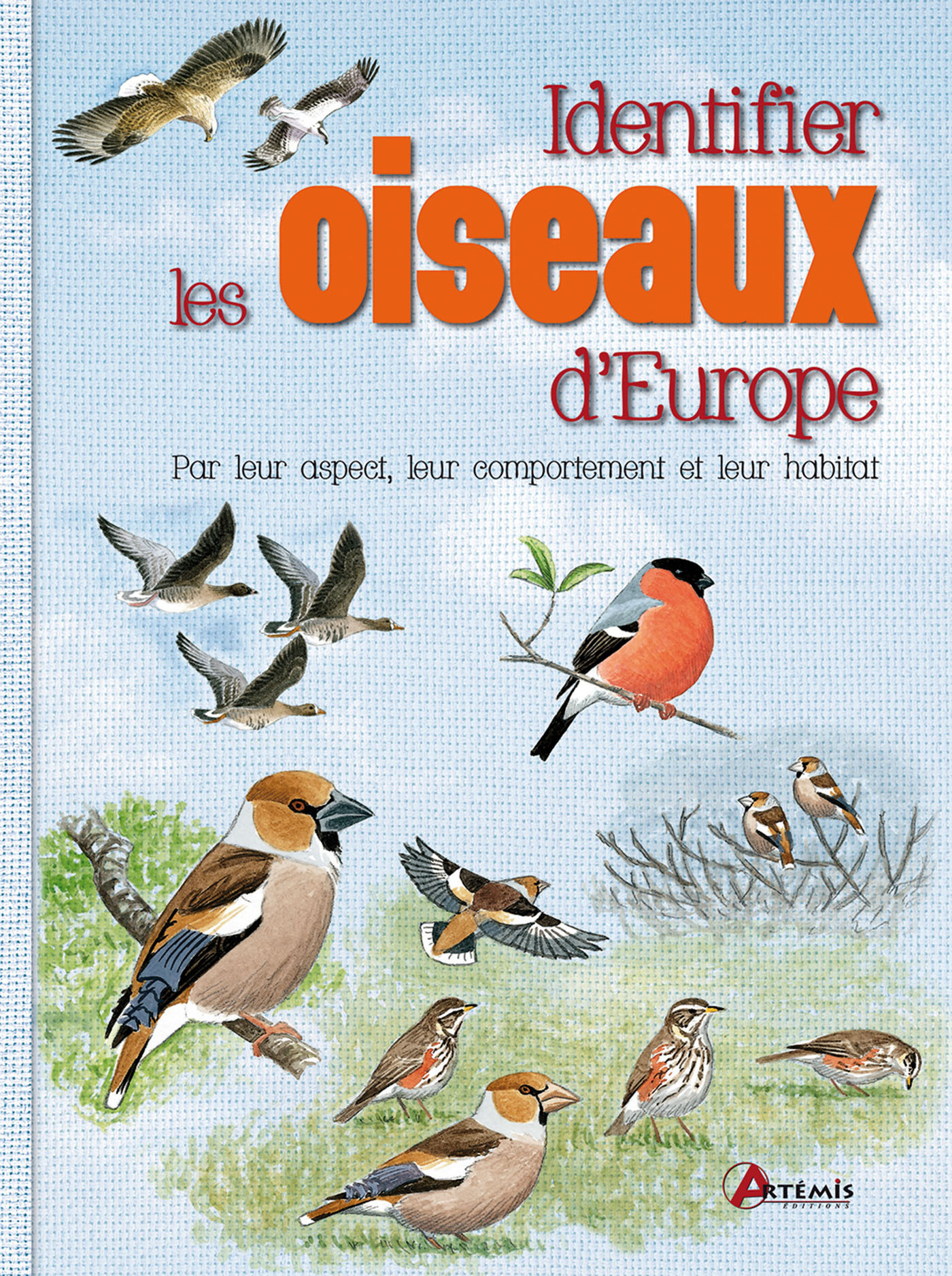 Identifier les oiseaux par leur comportement, leur habitat, etc.