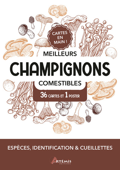 COFFRET MEILLEURS CHAMPIGNONS COMESTIBLES - 36 CARTES + 1 POSTER