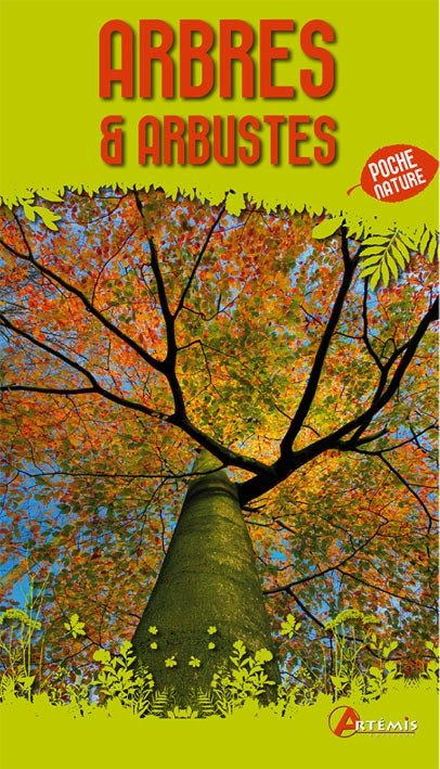 Arbres & arbustes