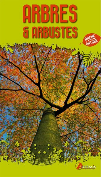Arbres & arbustes
