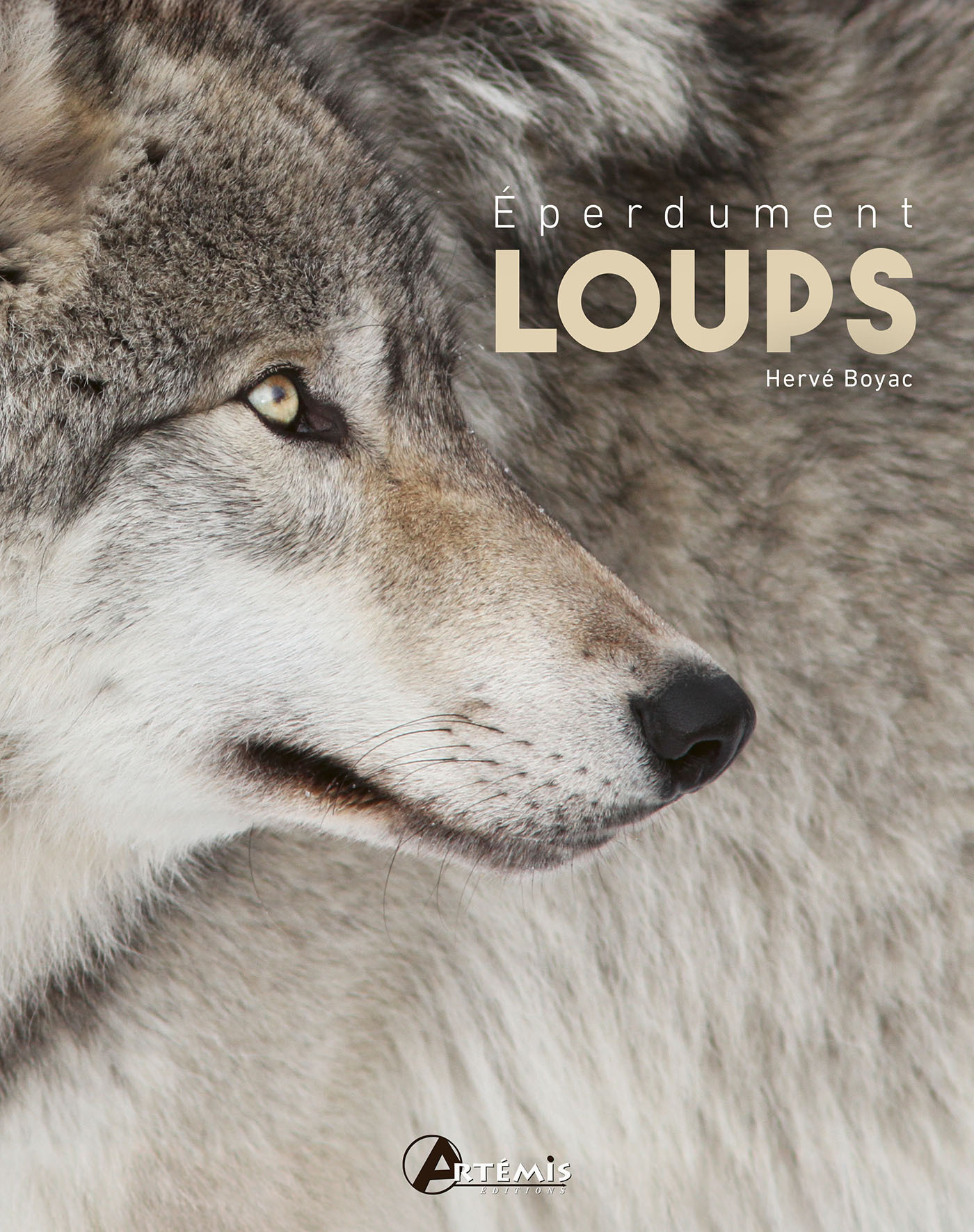 Eperdument loups