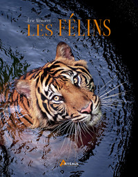 Les félins