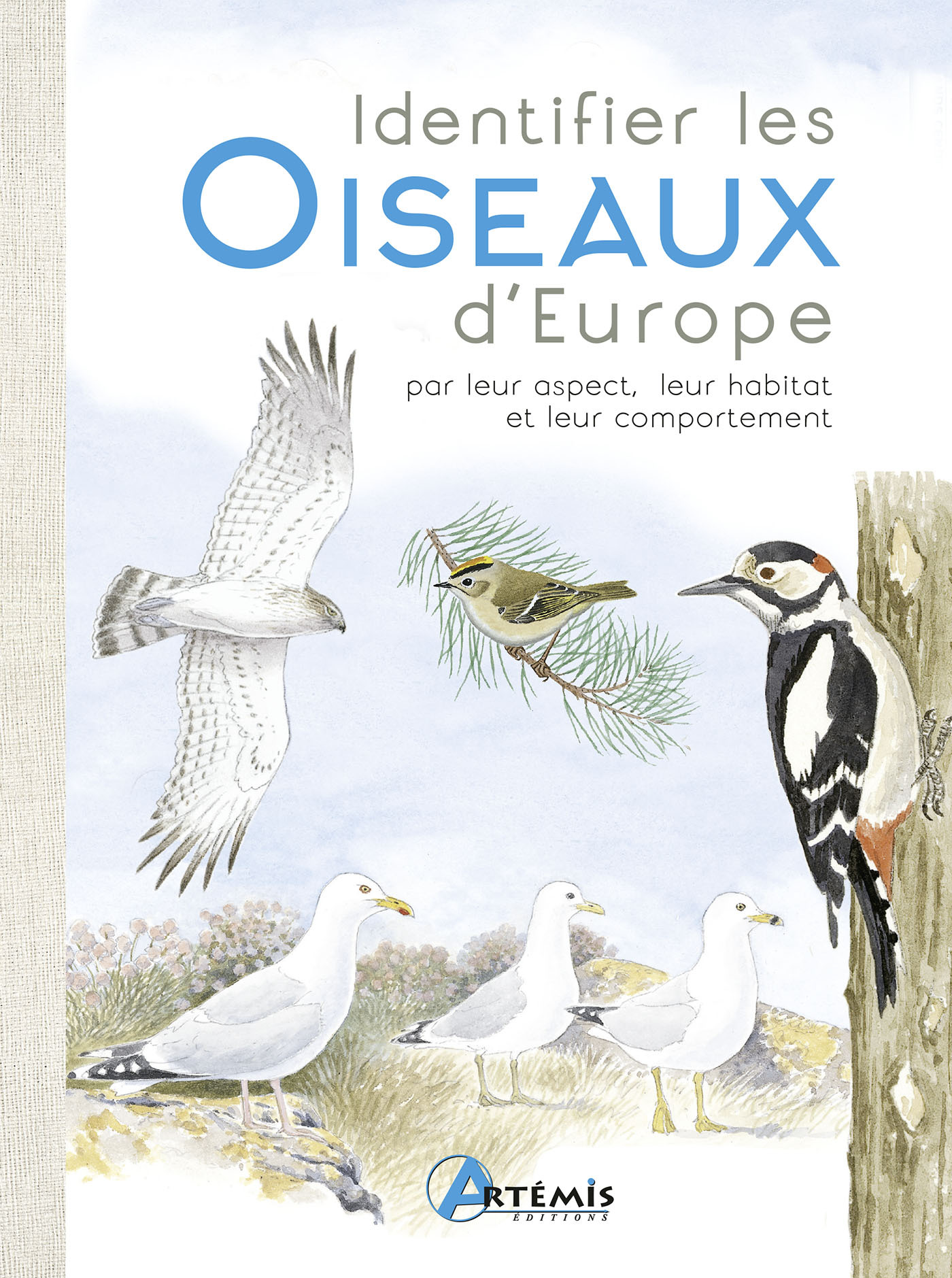 Identifier les oiseaux par leur comportement, leur habitat, etc.
