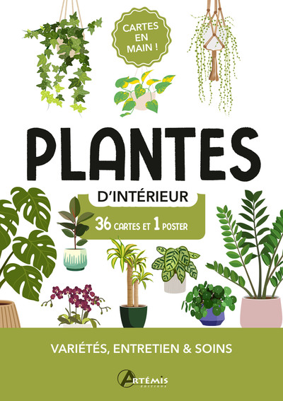 Plantes d'intérieur