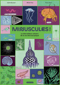 Minuscules !