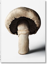 The Gourmand's Mushroom