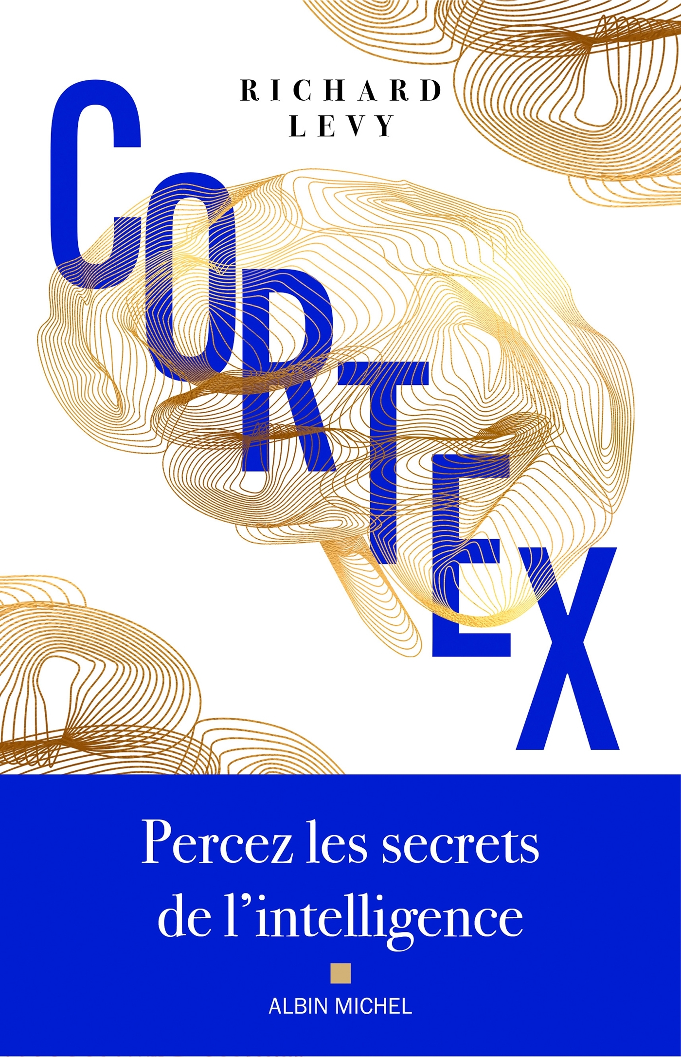 Cortex