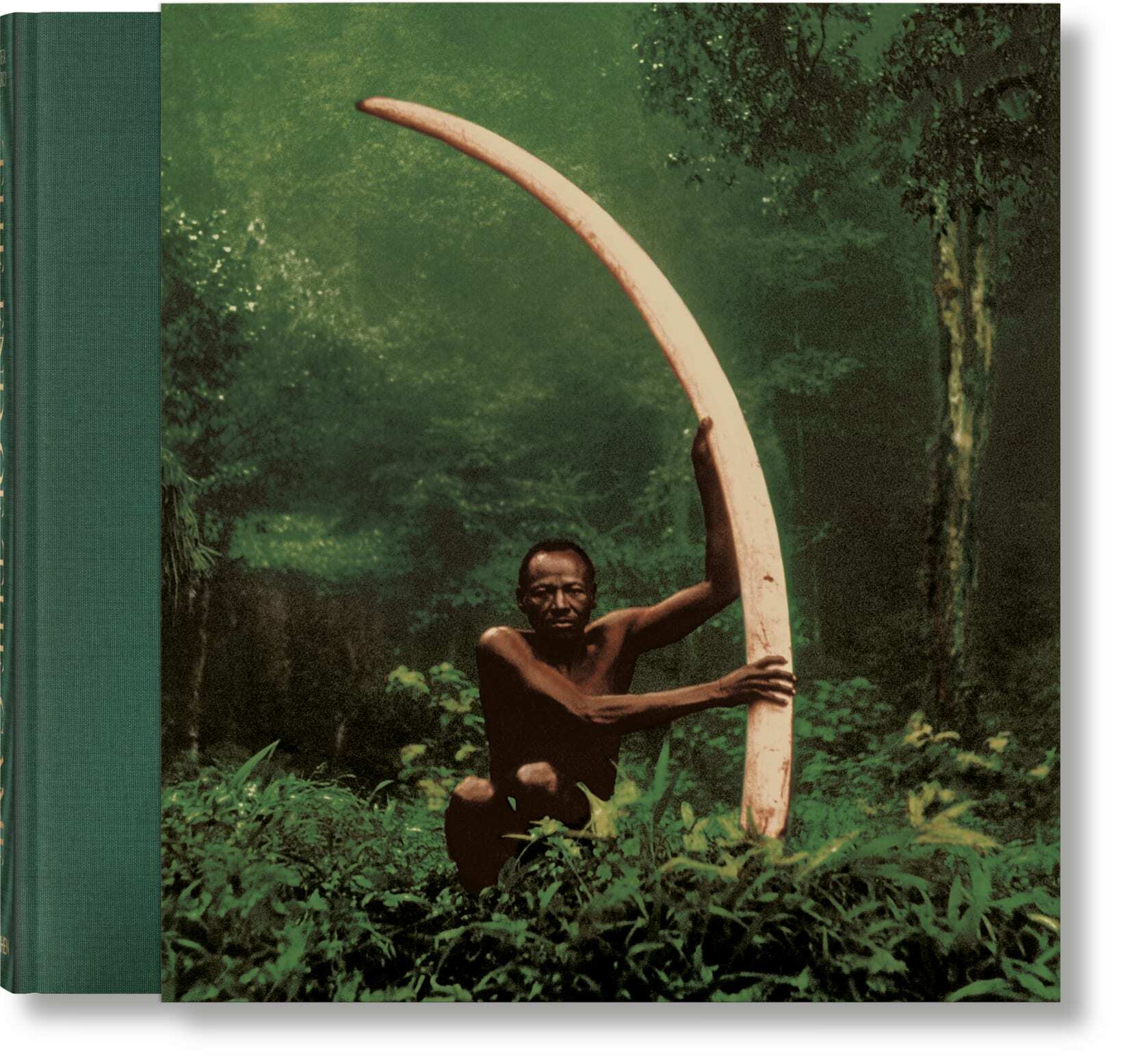 Peter Beard