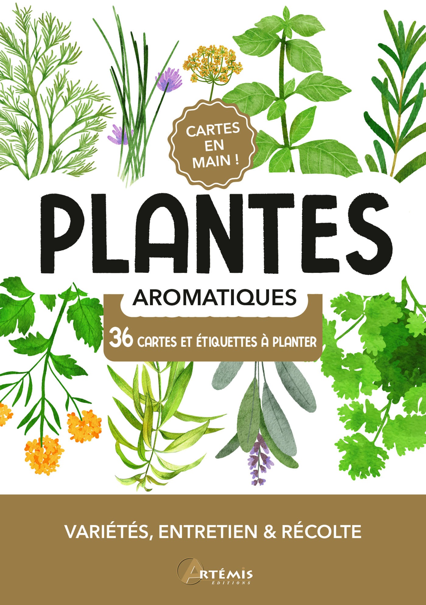 Plantes aromatiques