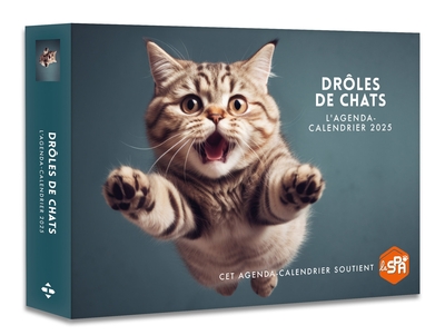 Drôles de chats : l'agenda-calendrier 2025