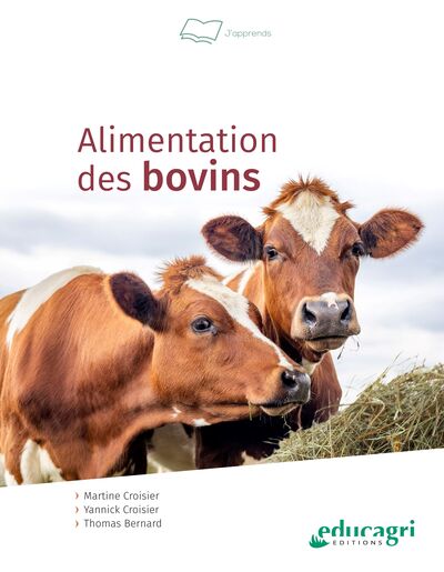 Alimentation des bovins