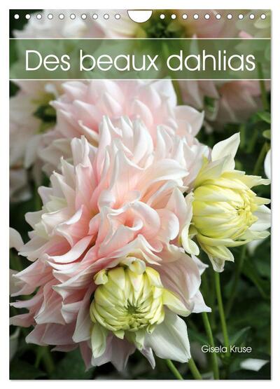 Des beaux dahlias (Calendrier mural 2025 DIN A4 horizontal), CALVENDO calendrier mensuel : Les dahlias du jardin fascinent par leurs innombrables formes et couleurs