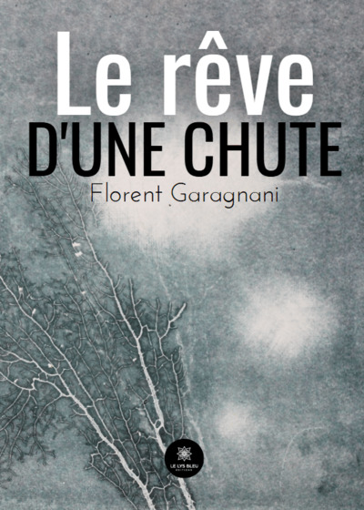 Le rêve d’une chute