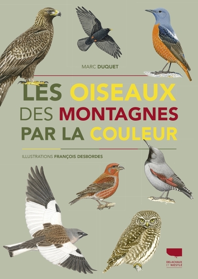 Les oiseaux des montagnes par la couleur